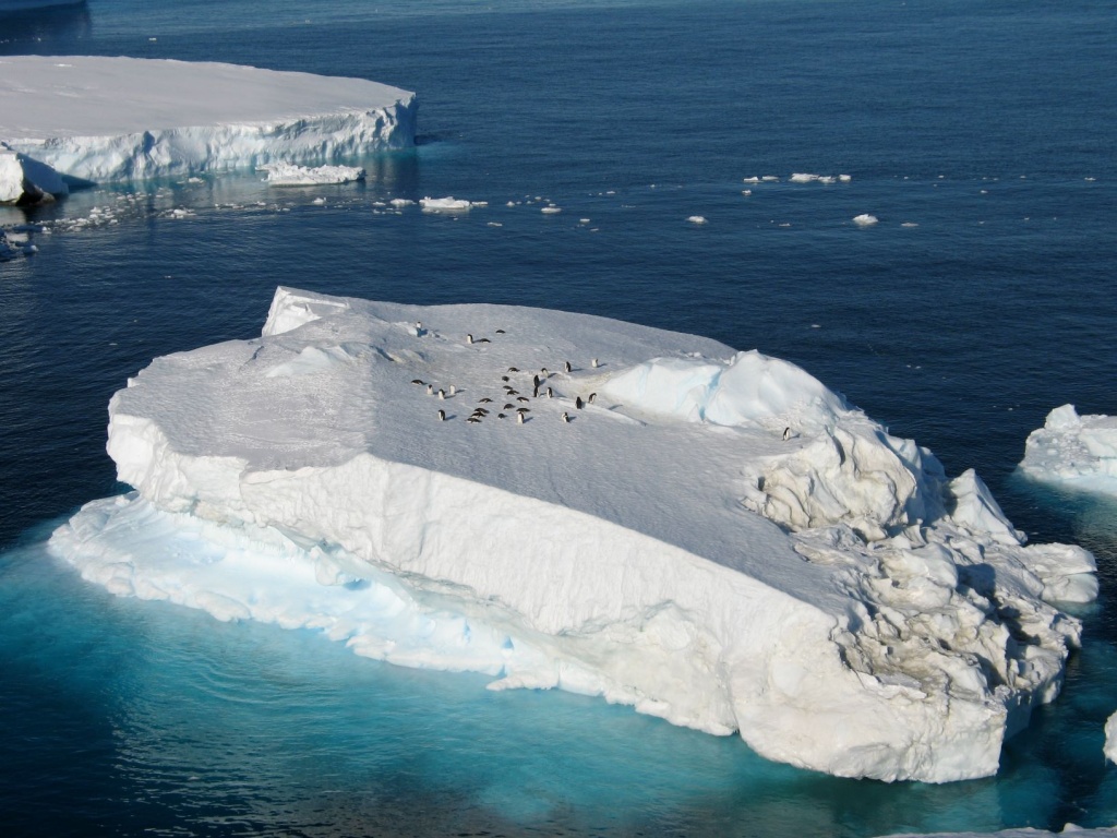 icebergswithemperors.jpg